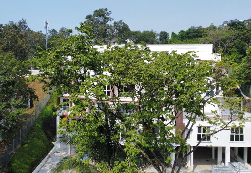 Damansara Heights (Bukit Damansara)