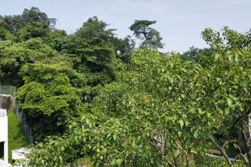 Damansara Heights (Bukit Damansara)