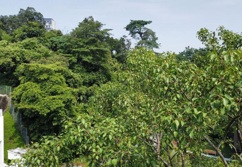 Damansara Heights (Bukit Damansara)