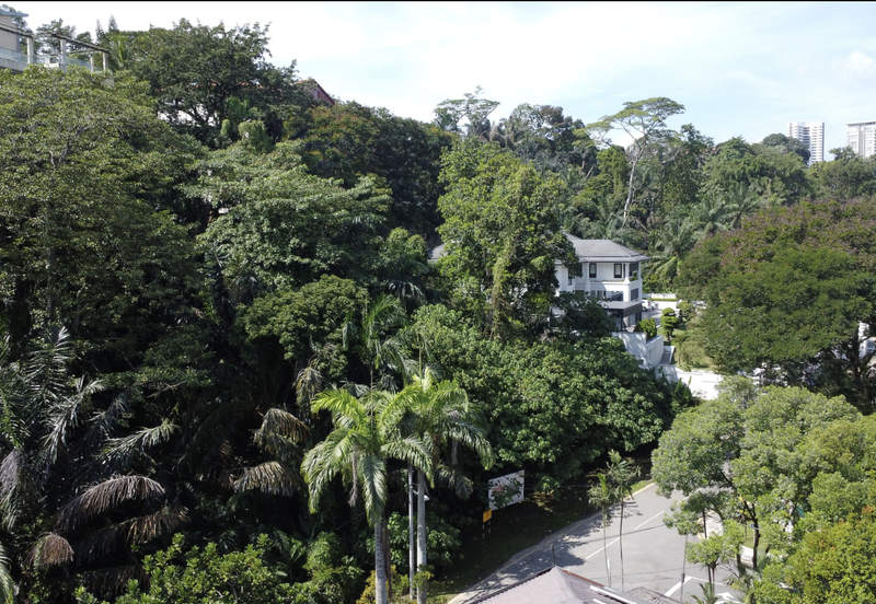 Damansara Heights (Bukit Damansara)