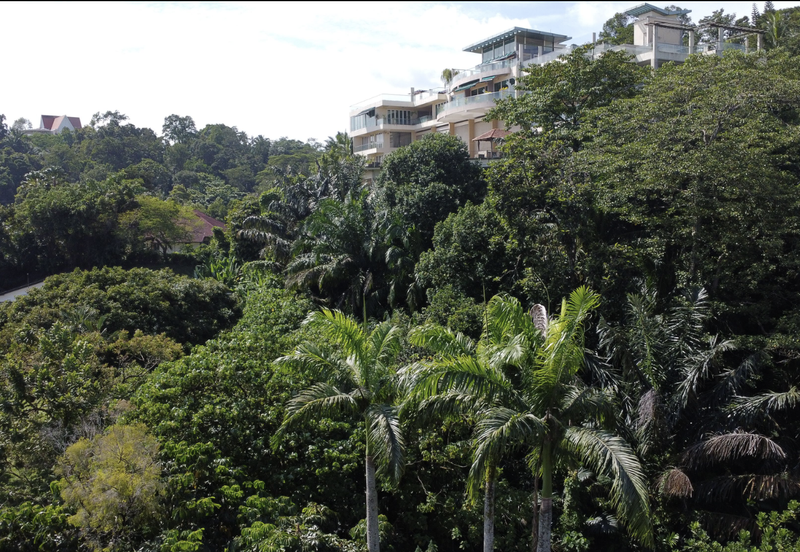 Damansara Heights (Bukit Damansara)