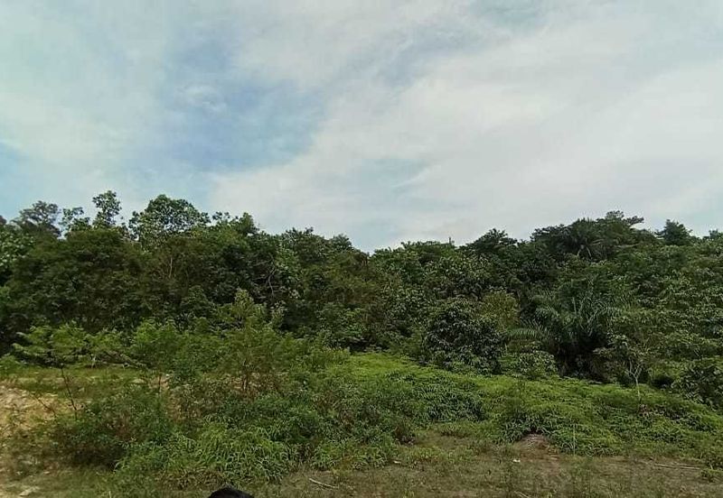 Jalan Bukit Cherakah 