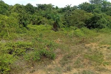 Jalan Bukit Cherakah 