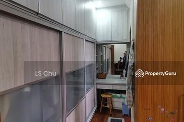 Anggerik Doritis @ Kota Kemuning