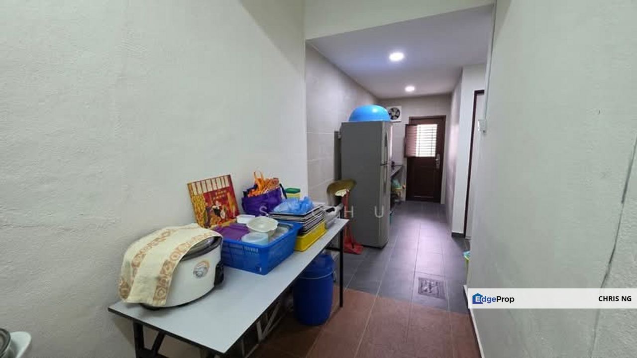 Anggerik Doritis @ Kota Kemuning, Shah Alam, Selangor, Selangor, Shah Alam