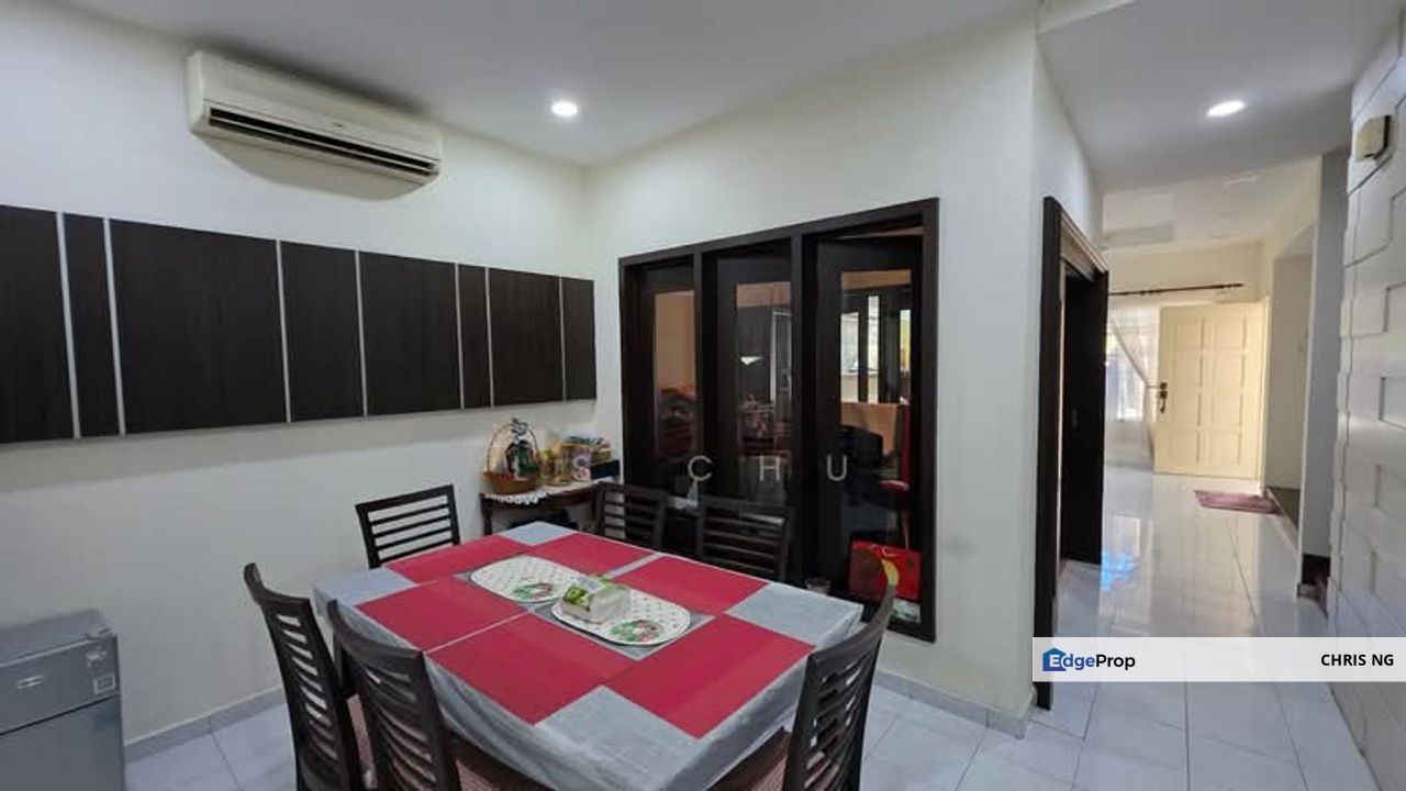 Anggerik Doritis @ Kota Kemuning, Shah Alam, Selangor, Selangor, Shah Alam