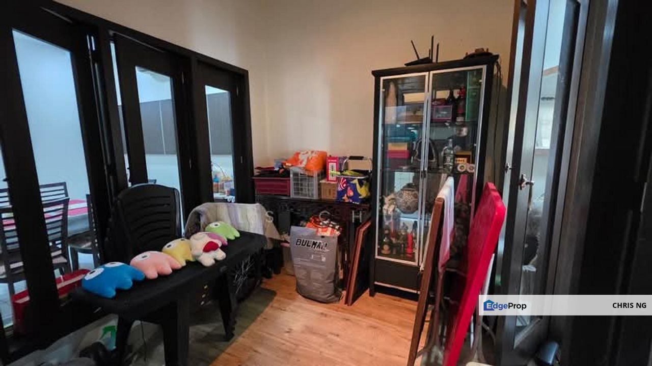 Anggerik Doritis @ Kota Kemuning, Shah Alam, Selangor, Selangor, Shah Alam