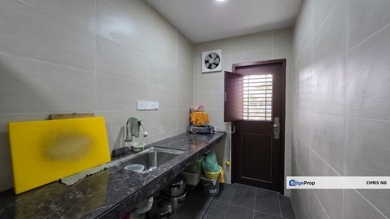 Anggerik Doritis @ Kota Kemuning, Shah Alam, Selangor, Selangor, Shah Alam