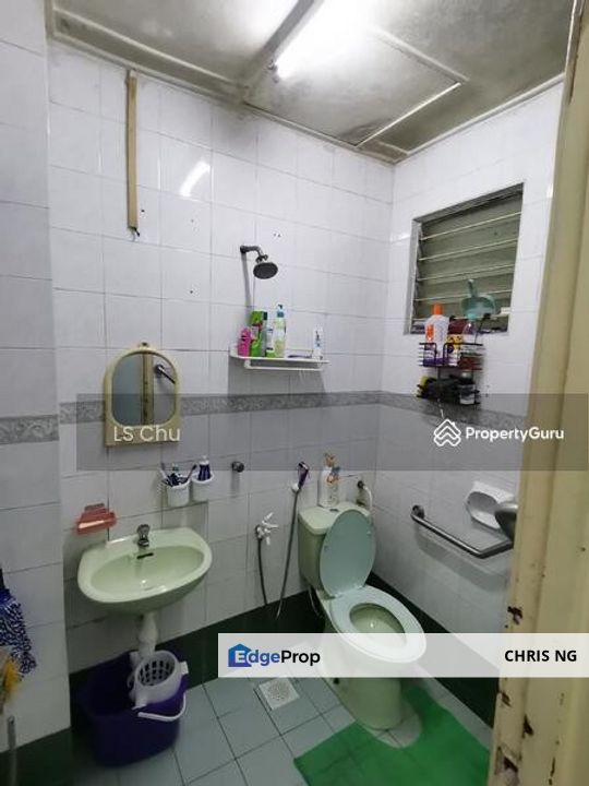 Anggerik Liparis Kota Kemuning, Selangor, Selangor, Kota Kemuning