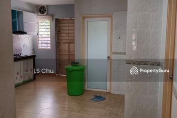 Anggerik Doritis @ Kota Kemuning