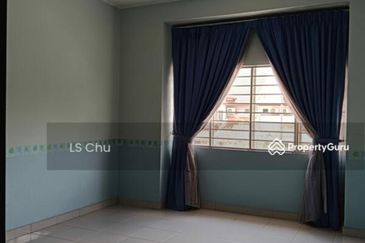 Anggerik Doritis @ Kota Kemuning