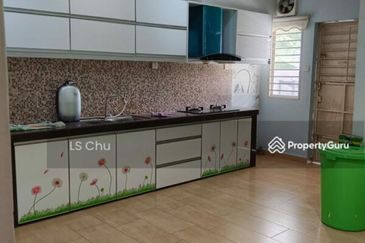 Anggerik Doritis @ Kota Kemuning