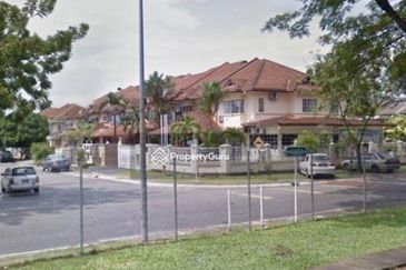 Anggerik Doritis @ Kota Kemuning