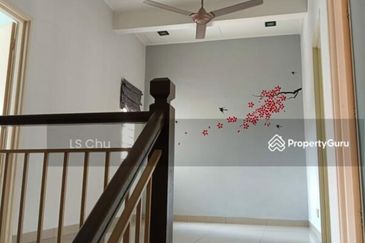 Anggerik Doritis @ Kota Kemuning