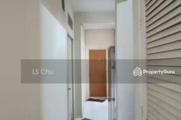 Anggerik Doritis @ Kota Kemuning