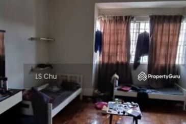 Anggerik Doritis @ Kota Kemuning