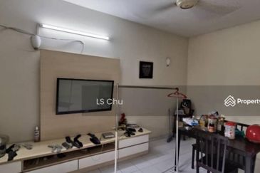 Anggerik Doritis @ Kota Kemuning