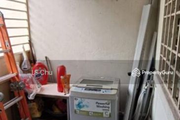 Anggerik Doritis @ Kota Kemuning