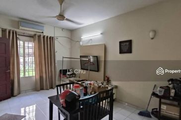 Anggerik Doritis @ Kota Kemuning