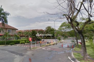 Anggerik Doritis @ Kota Kemuning