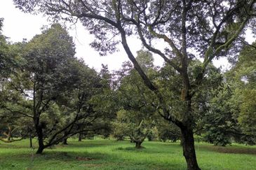 Jalan Besar, Nilai-Pajam