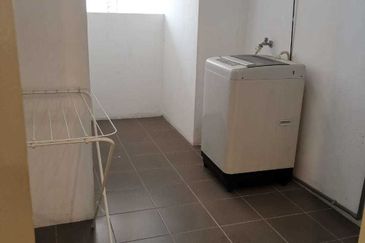 Taragon Puteri Bintang