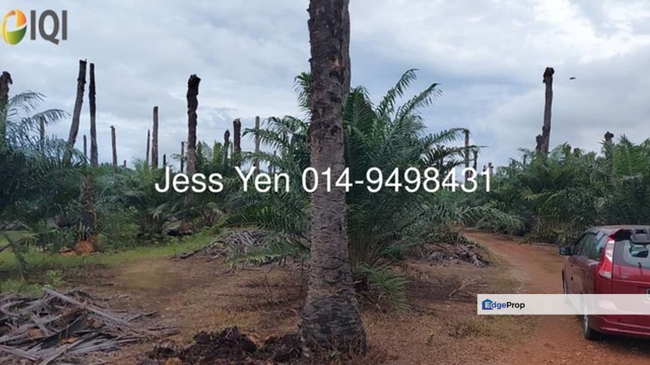 Palm Oil Land Residence Zone Land for Sale Sungai Pelek Sepang , Selangor, Sepang