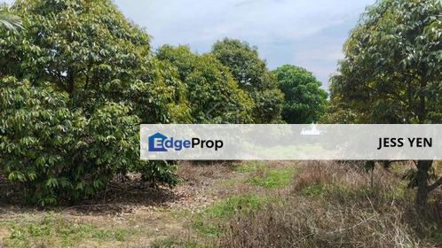 Kuala Pilah, Kuala Pilah, Negeri Sembilan Agricultural Land 6 plots Flat Land for Sale , Negeri Sembilan, Kuala Pilah