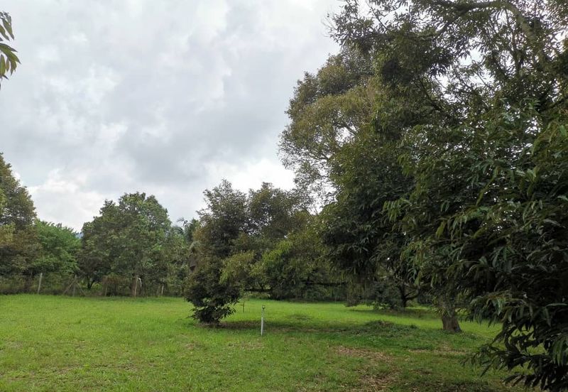 Kampung Mantin Dalam