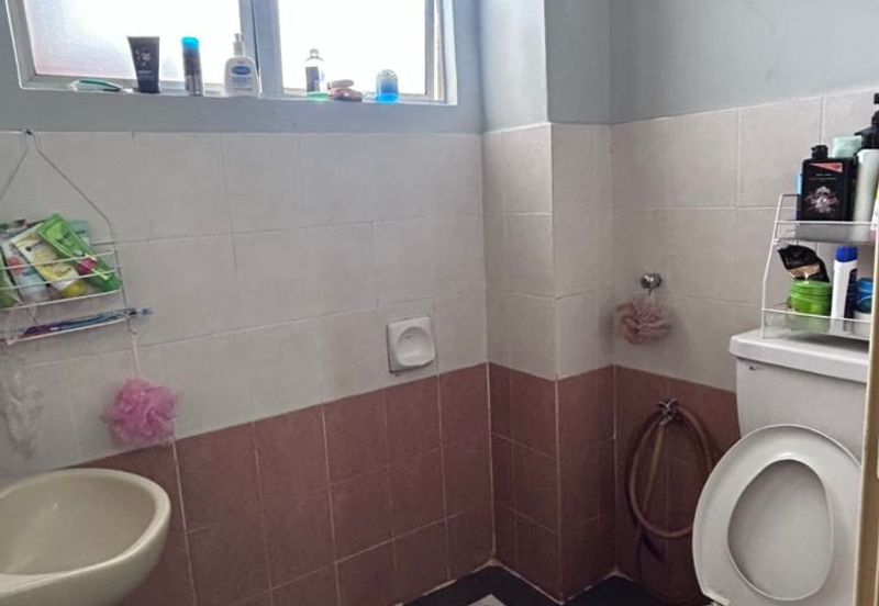 Taman Amanputra, Puchong South