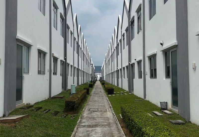 Hazelton @ Eco Forest 3