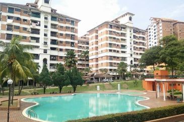 Evergreen Park Acorn and Hazel