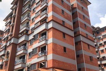 Evergreen Park Acorn and Hazel