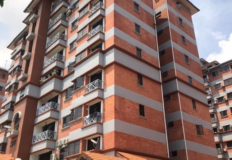 Evergreen Park Acorn and Hazel