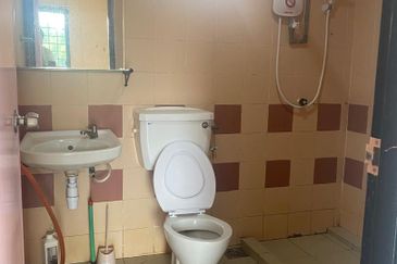 Evergreen Park Acorn and Hazel