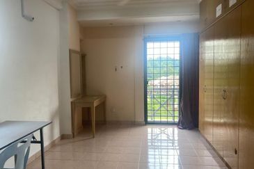 Evergreen Park Acorn and Hazel