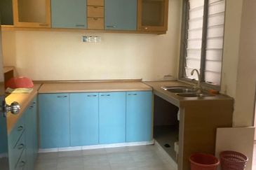 Evergreen Park Acorn and Hazel