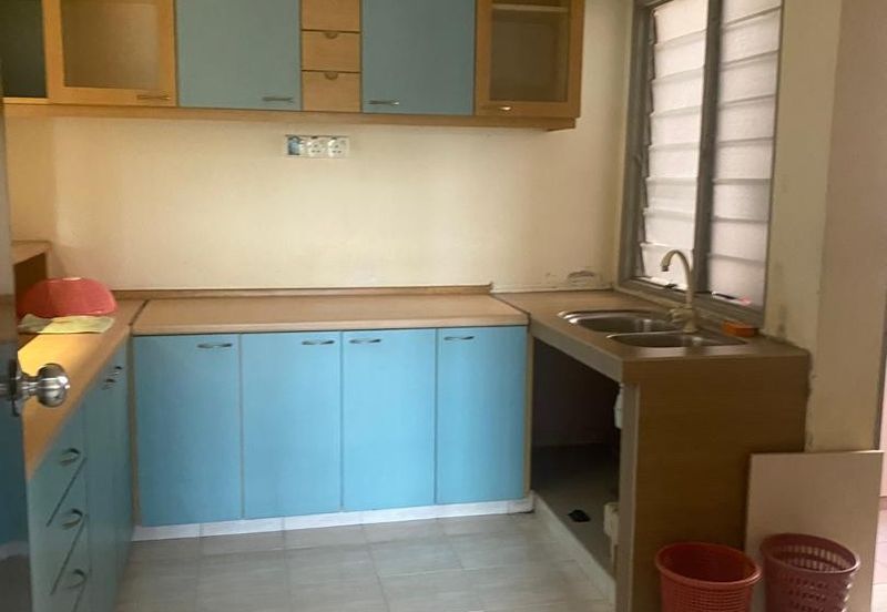 Evergreen Park Acorn and Hazel