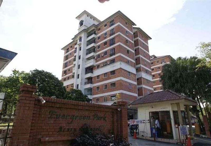 Evergreen Park Acorn and Hazel