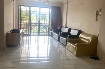 Evergreen Park Acorn and Hazel