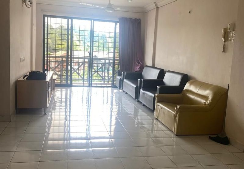 Evergreen Park Acorn and Hazel