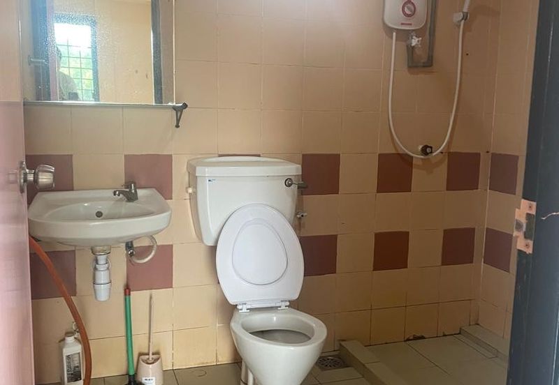 Evergreen Park Acorn and Hazel