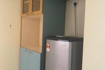 Evergreen Park Acorn and Hazel