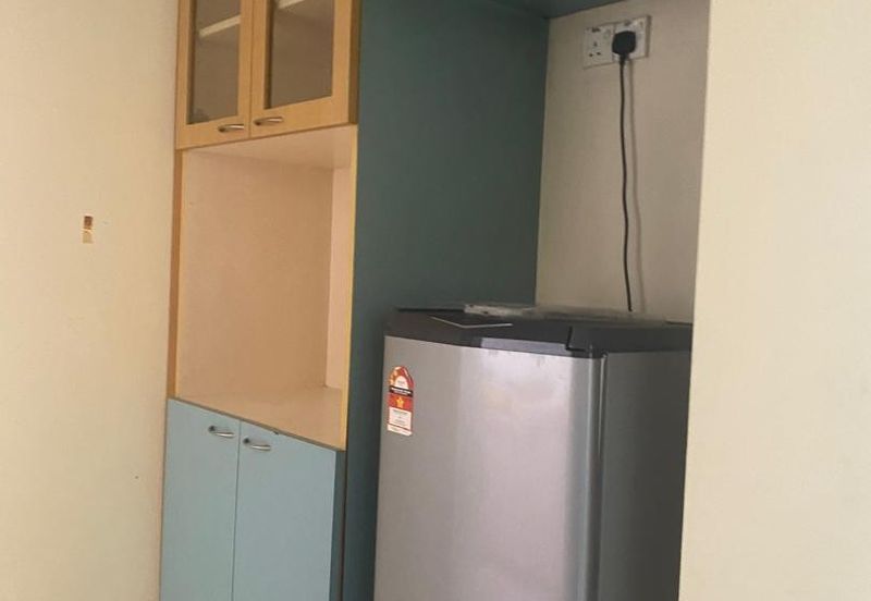 Evergreen Park Acorn and Hazel