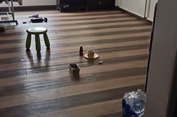 Pangsapuri Angsana USJ 1