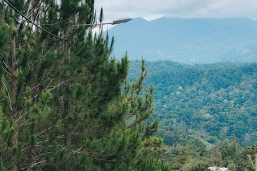 Hi 👋, this is Amanda here, a property agent focus in Puchong. Do you currently have any property for sale or rent that you’d like me to assist with?