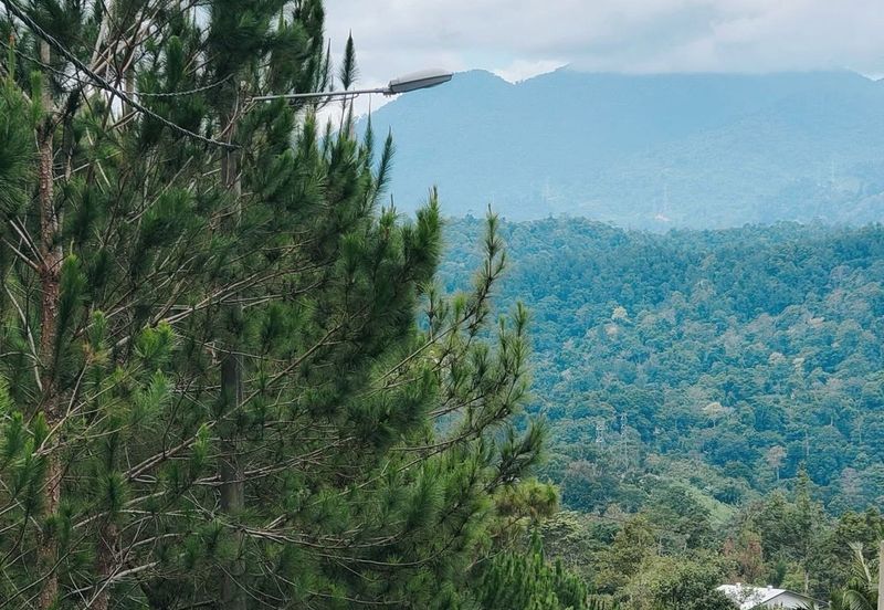 Hi 👋, this is Amanda here, a property agent focus in Puchong. Do you currently have any property for sale or rent that you’d like me to assist with?