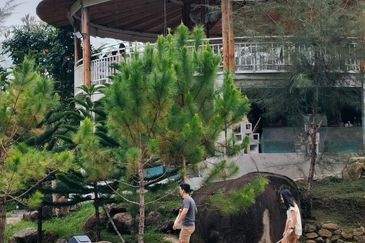 Hi 👋, this is Amanda here, a property agent focus in Puchong. Do you currently have any property for sale or rent that you’d like me to assist with?