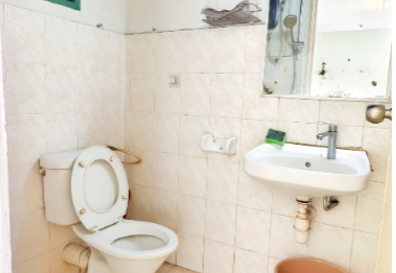 Vista Pinggiran, Taman Pinggiran Putra