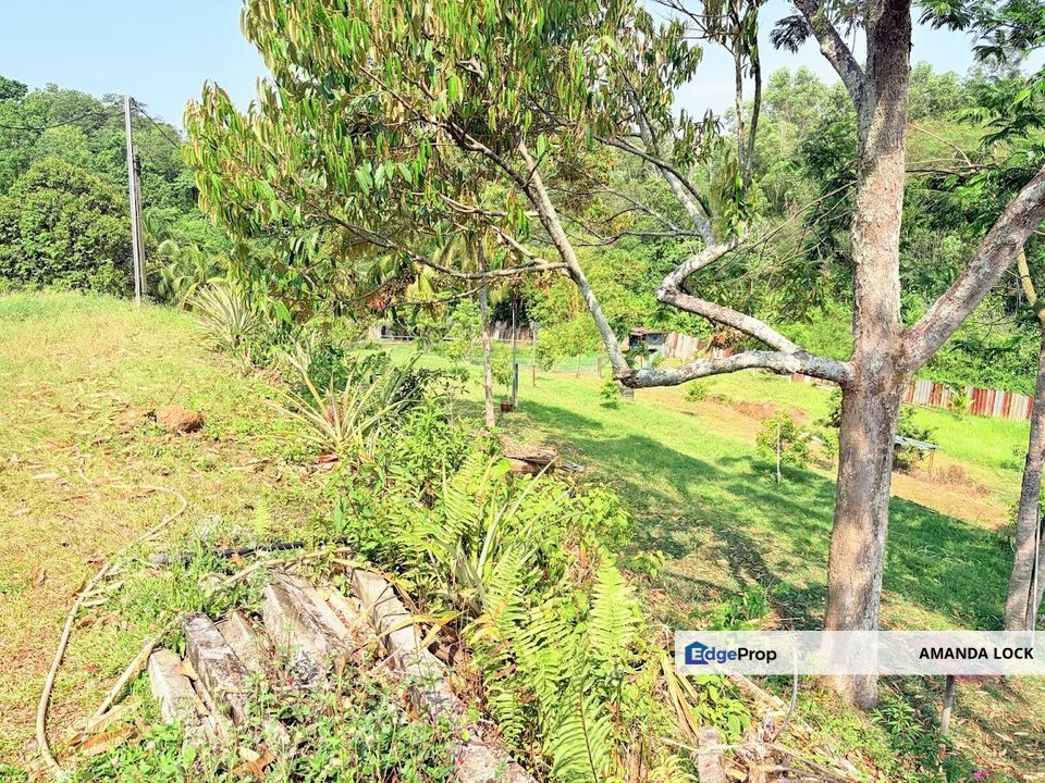 Agricultural Land at Seremban for sales next to Senawang toll 5 min , Negeri Sembilan, Seremban